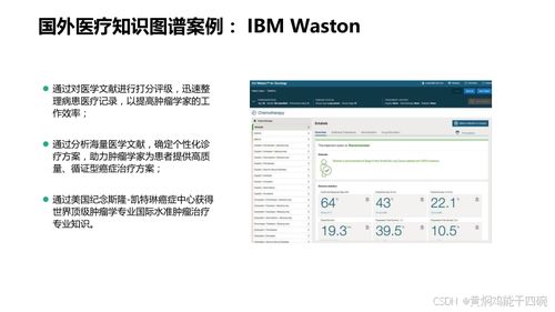 人工智能在醫(yī)療行業(yè)的應(yīng)用 知識圖譜與信息化技術(shù)方案